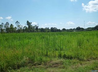 140 Dr John Elliott Dr, Henagar, AL 35978