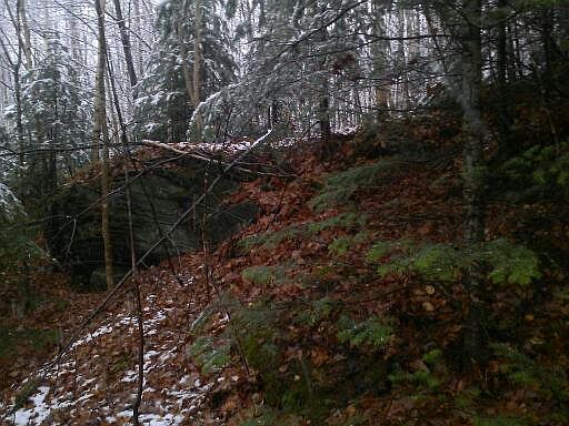 2nd image of Maple Ln