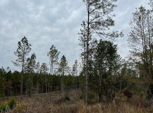 LOT 15 Point Wanita Lake Rd, Chunky, MS 39323