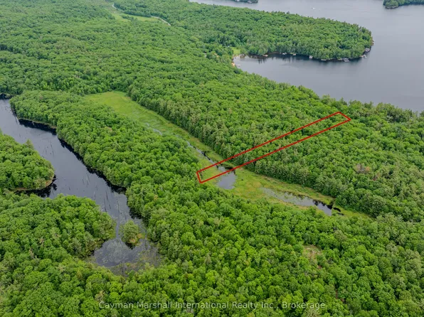 0 Foreman Rd, Muskoka Lakes, ON P0B 1J0