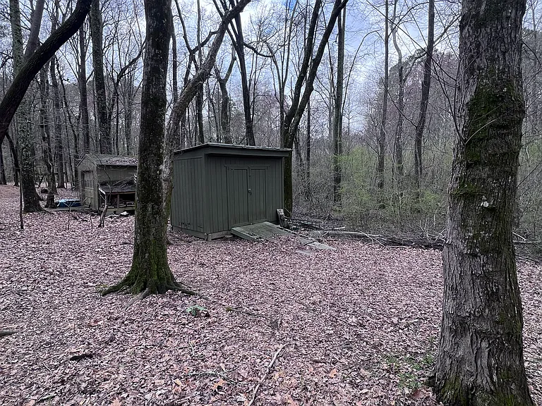 Backyard: storage shed
