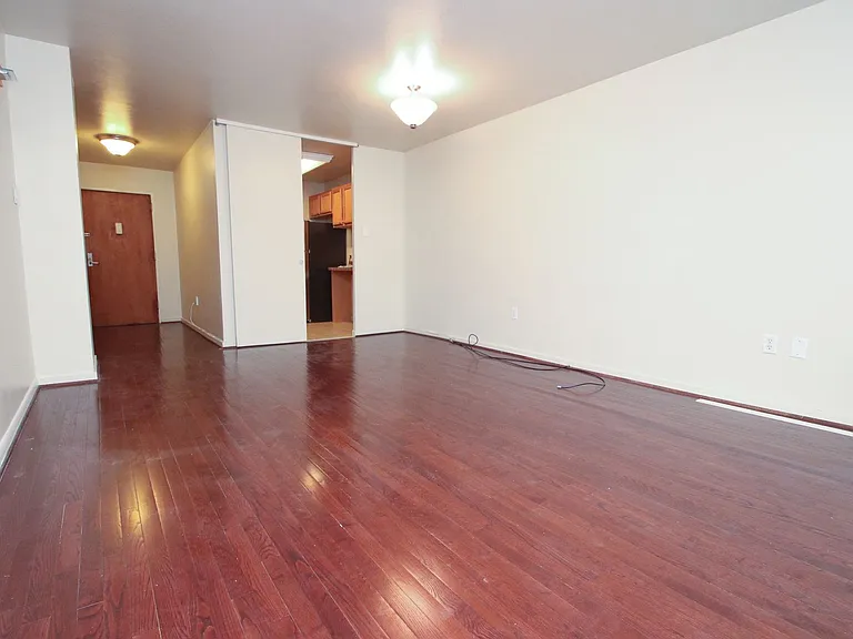 604 S Washington Sq #2809 — Photo 5