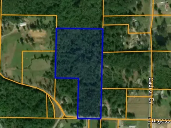 202 Burgess Ln, Greenbrier, AR 72058