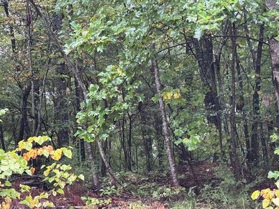 11 Fife St, South Pittsburg, TN, 37380