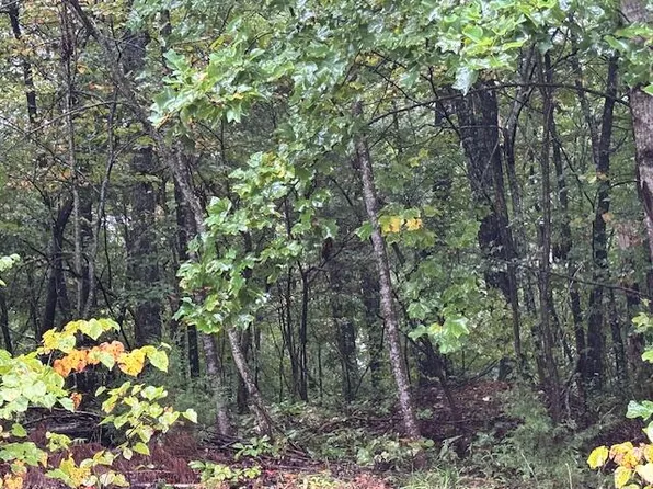 11 Fife St, South Pittsburg, TN 37380