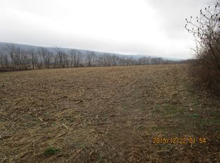 Hollow Rd, Paxinos, PA 17860