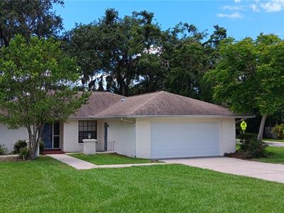 401 Fern Cliff Ave, Temple Terrace, FL, 33617