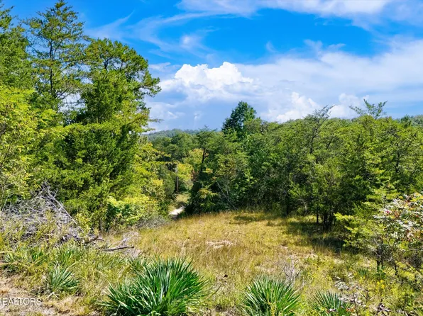 0 Flat Creek Rd, Sevierville, TN 37876
