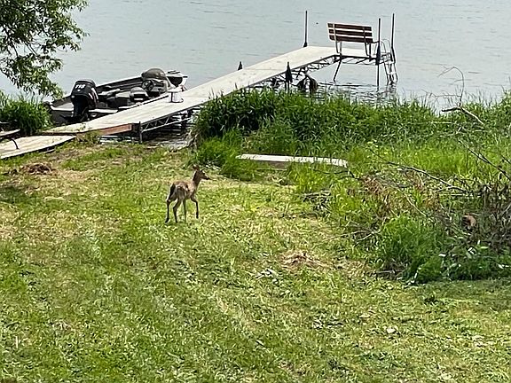 5th image of 66441 Island Lake Ln