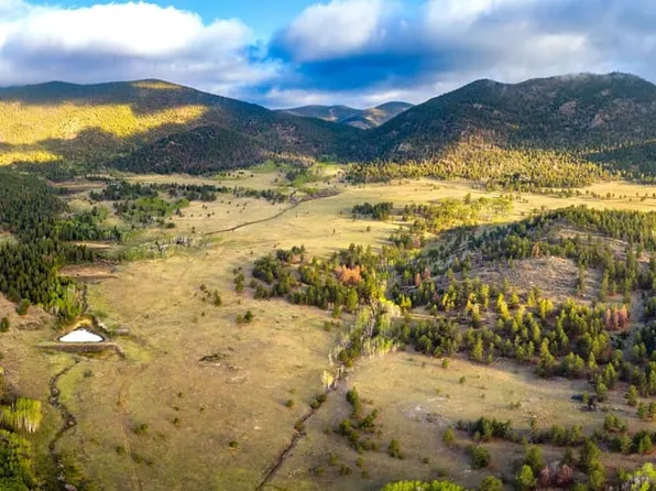 Forest Ln #231, Lake George, CO 80827