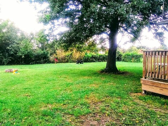 Right side of back yard