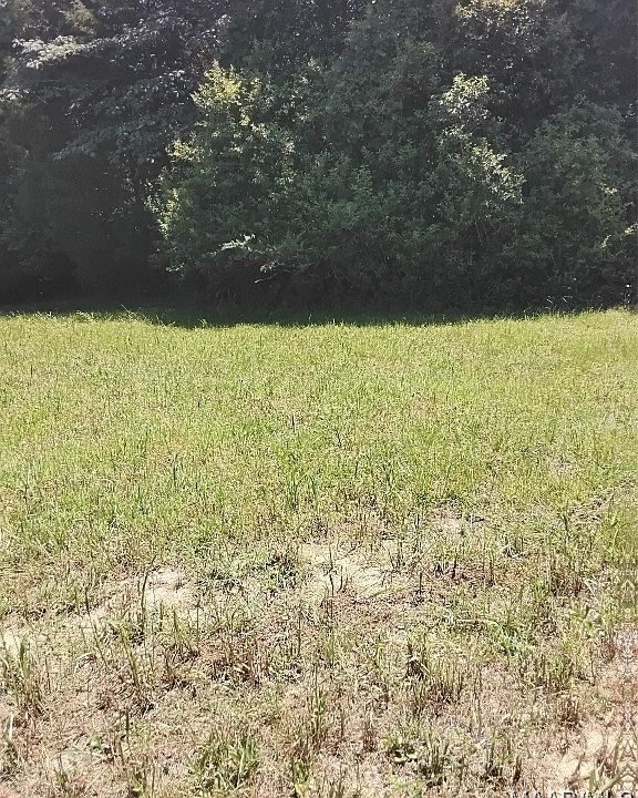 2nd image of 124 Crown Ridge Dr