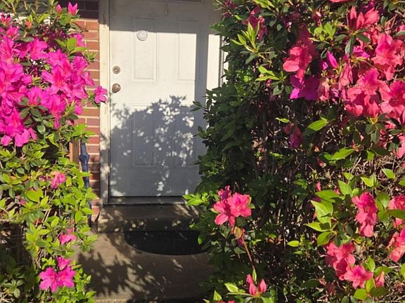 2nd image of 224 Deluna Rd