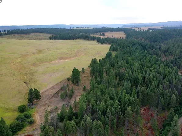 76214 Reynolds Ln, Enterprise, OR 97828