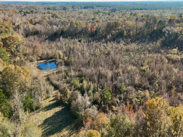 5646 Us Highway 80, Pelahatchie, MS 39145