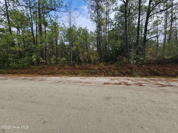 0 Redwood Road, Boiling Spring Lakes, NC 28461