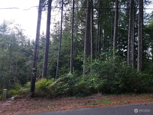 91 N Colony Surf Drive, Lilliwaup, WA 98555