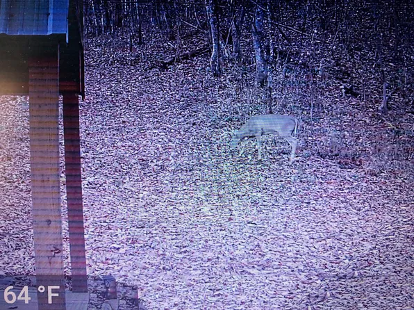 460.2 Cow Creek Rd, Ravenna, KY 40472