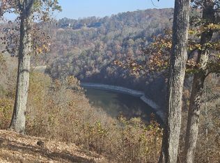 153 Streamer Dr, Smithville, TN 37166