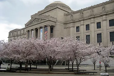 Rented by Sher Management