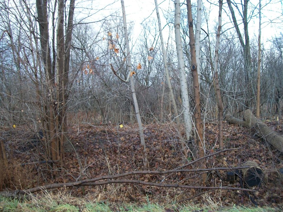 2nd image of 40 M