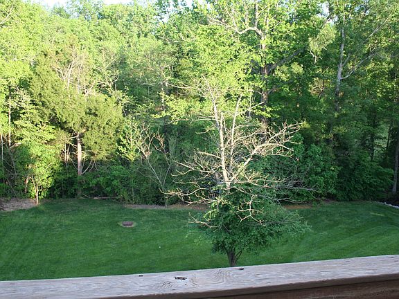 View from Deck