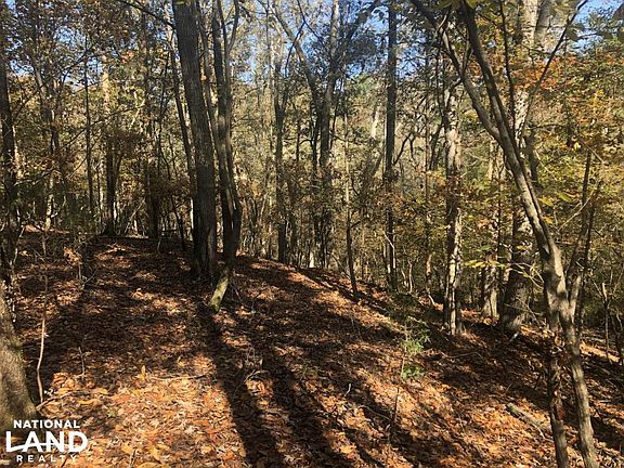 Rolling Topography and varied land uses make this feel bigger than 40 acres