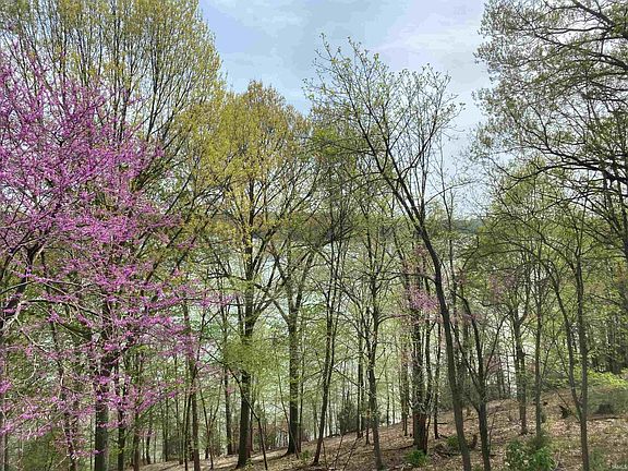 4th image of 2008 E Waters Edge Dr #40