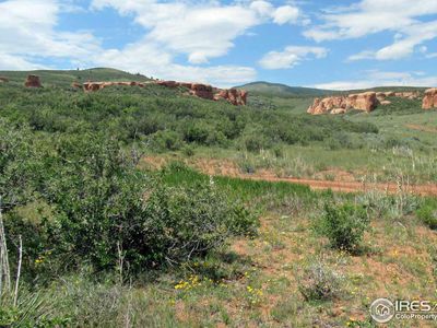 Buffalo Run Rd, Livermore, CO, 80536