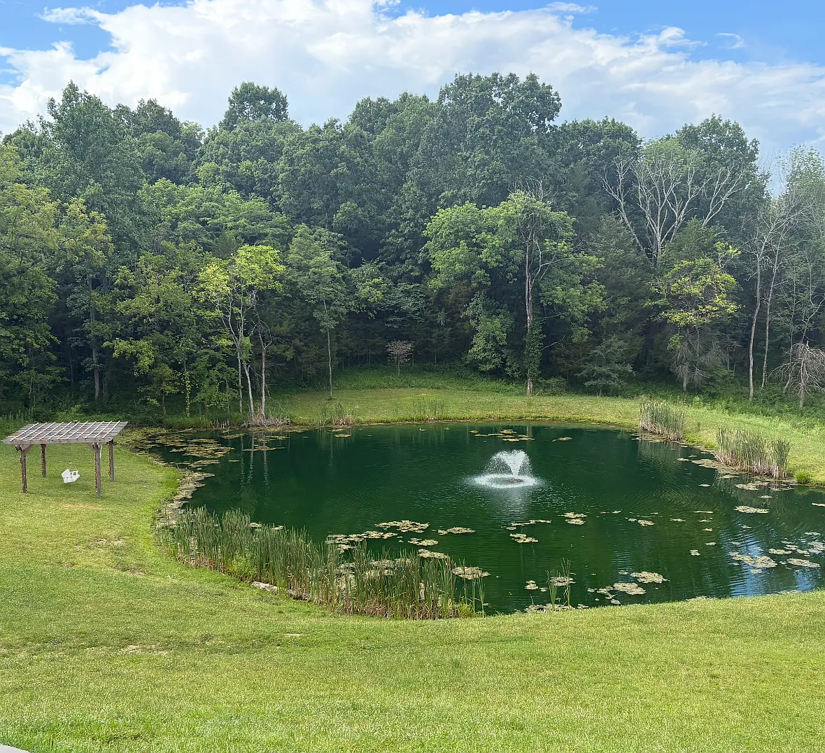 2 bed, $2,050 — Photo 1