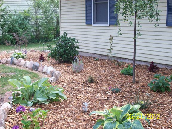 Landscaping
