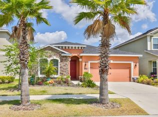 11157 Spring Point Cir, Riverview, FL 33579