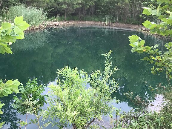 Pond waiting for you