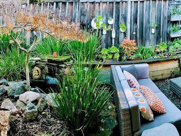 Front Entry and Pond