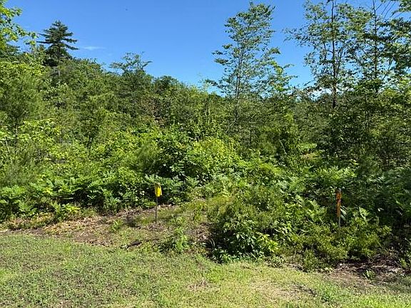 4th image of Lot 2 Youngs Way