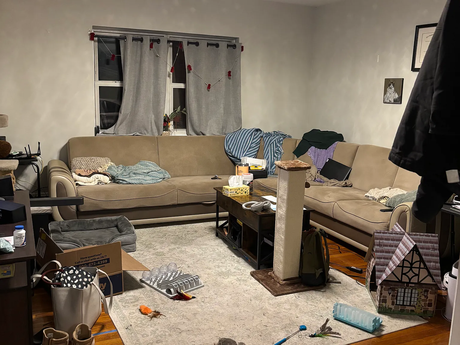 2 bed, 1.0 bath, $2,980 — Photo 2