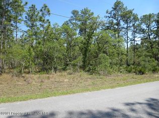 0 Eakin St, Weeki Wachee, FL 34614