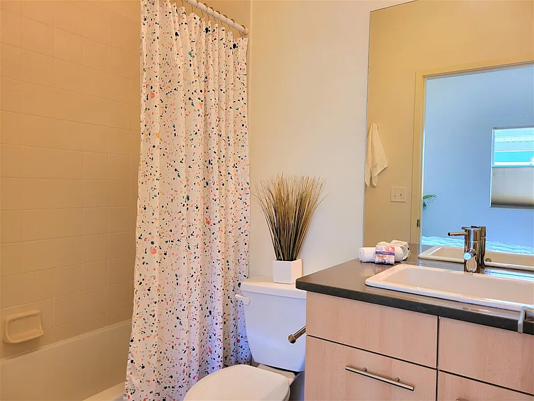 Primary bathroom