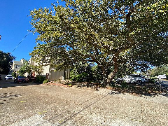 Live oak out front
