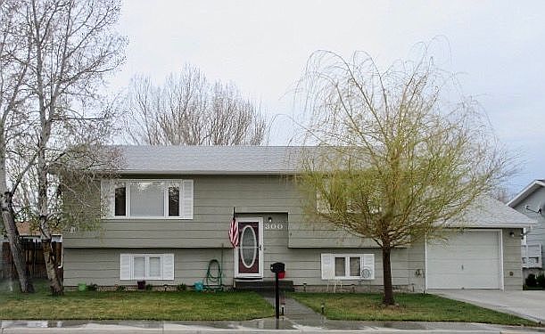 Front view (early spring)