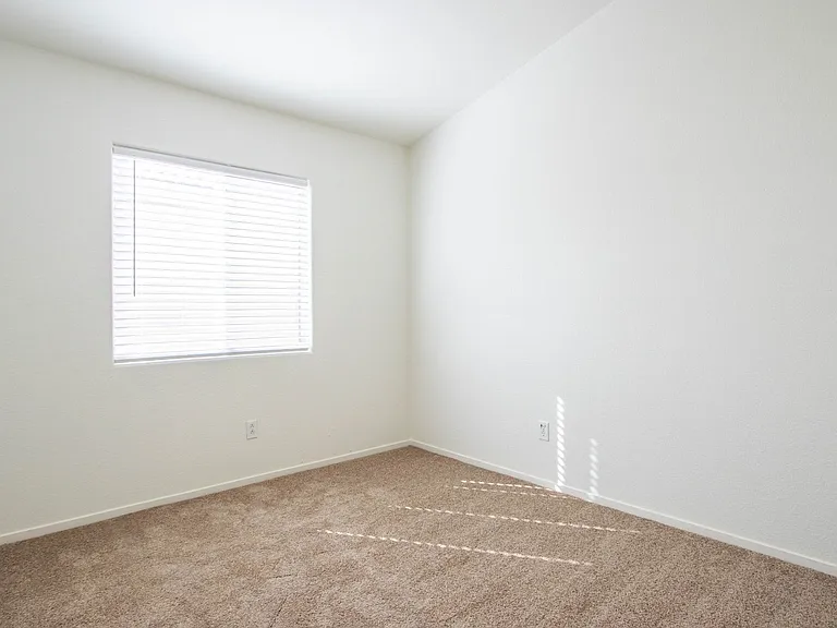 3747 Shadow Tree St — Photo 15