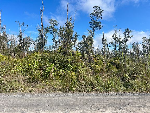 4th image of 11-2454 Kaleponi Rd