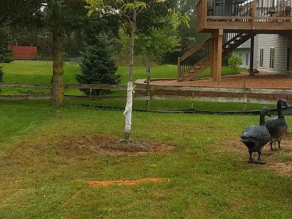 5th image of 540 Arlo Ln