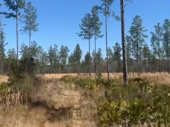 0 Chickadee Rd, Millwood, GA 31552