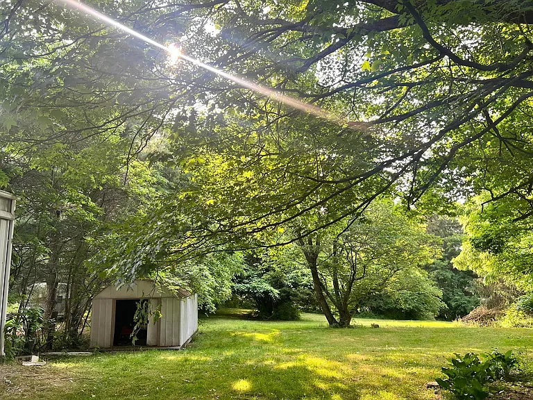 Back yard