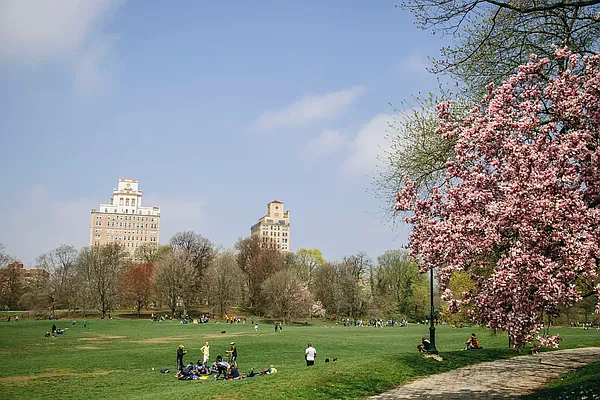 Rented by Compass | media 13