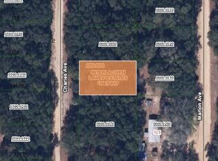 0 Charles Ave, Interlachen, FL 32148