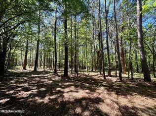 1 Robinson Rd, Canton, MS 39046