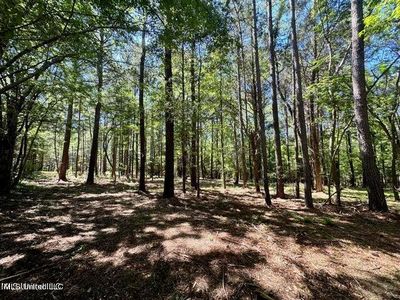 1 Robinson Rd, Canton, MS, 39046