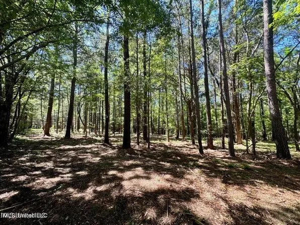 1 Robinson Rd, Canton, MS 39046